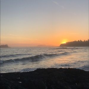 Meet your Posher, Abigail